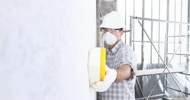 Trusted Riverview Park, PA Mold Removal Experts