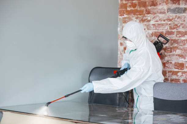 Why You Should Choose Our Mold Remediation Services in Riverview Park, PA